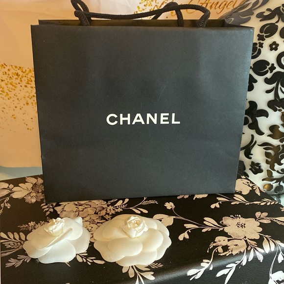 CHANEL GIFT BAG - Picture 1 of 1